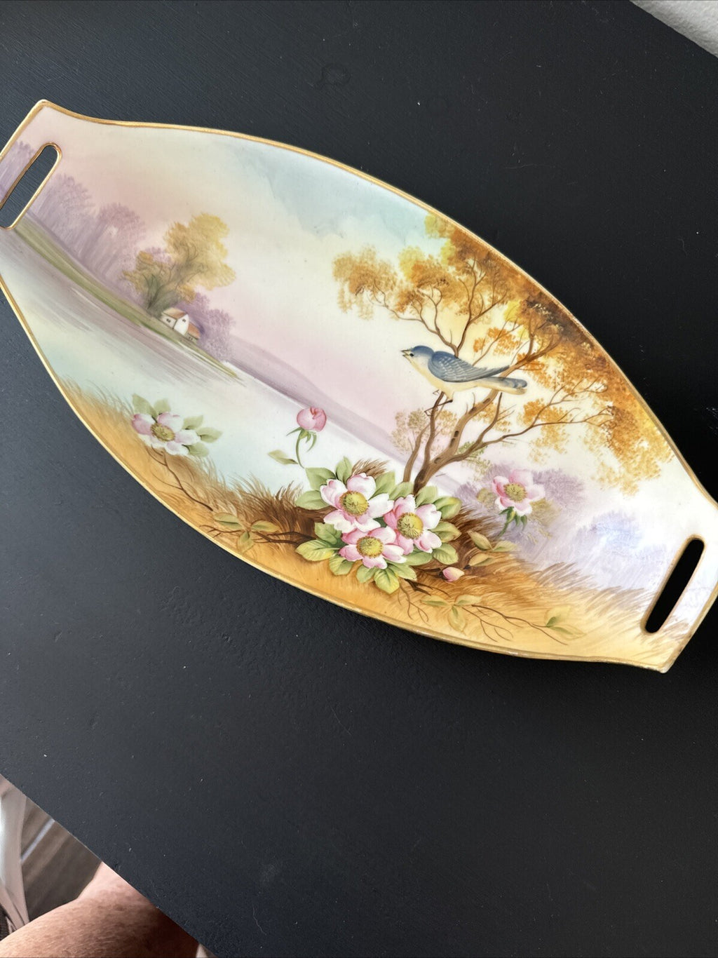 Nippon Hand painted  Country Scene W/ Blue Bird Celery Or Relish Dish